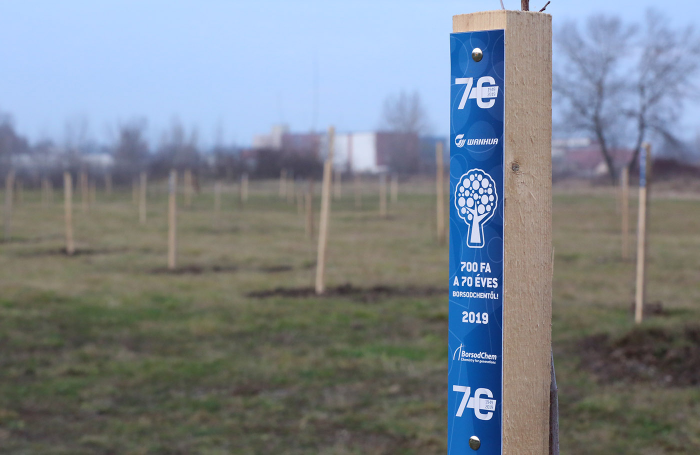 700 trees from 70-year-old BorsodChem