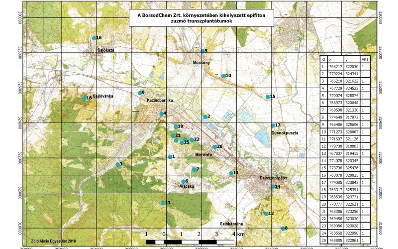 kihelyezett transzplantátumok_miénk a 20-as