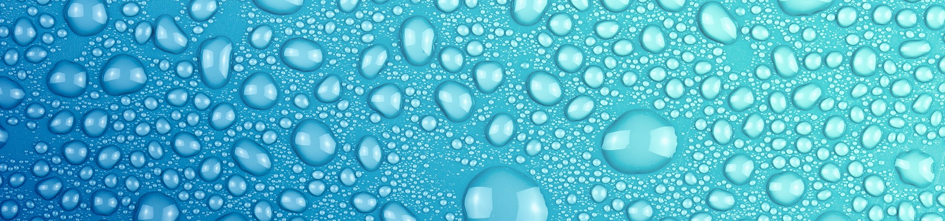 Chlor-Alkali Products